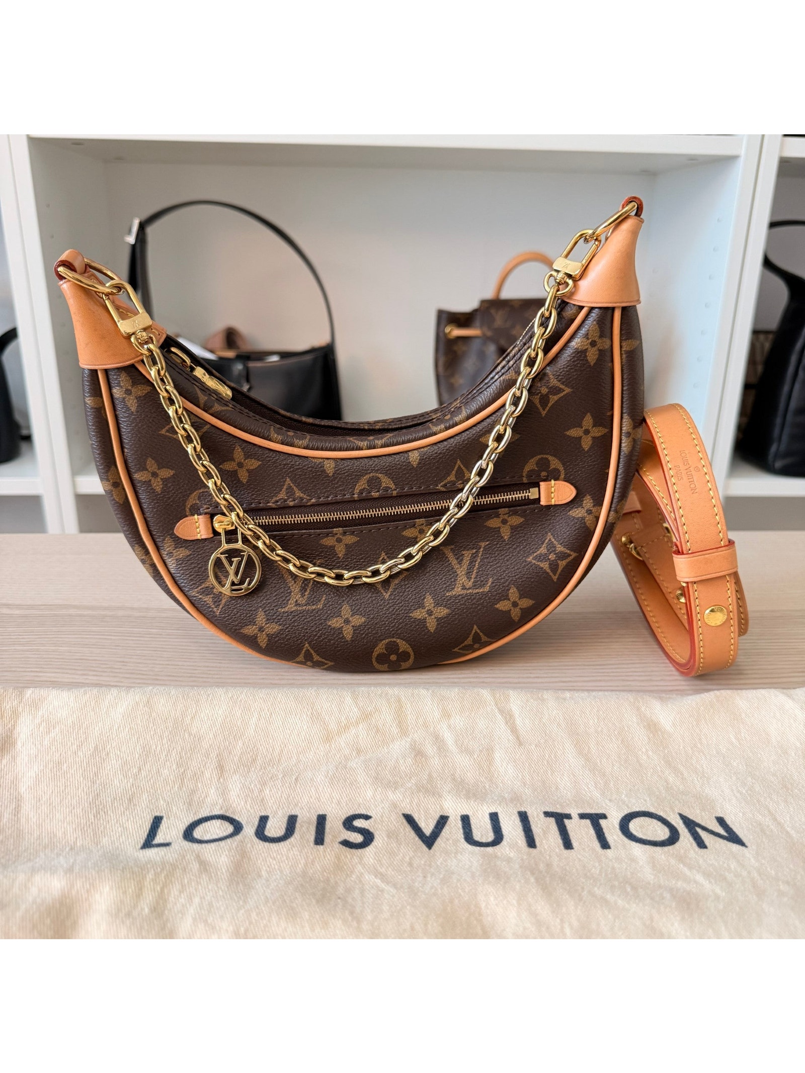 Louis Vuitton Monogram Loop